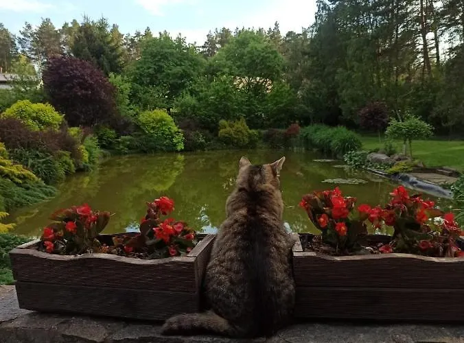 U Garncarza * Polnica